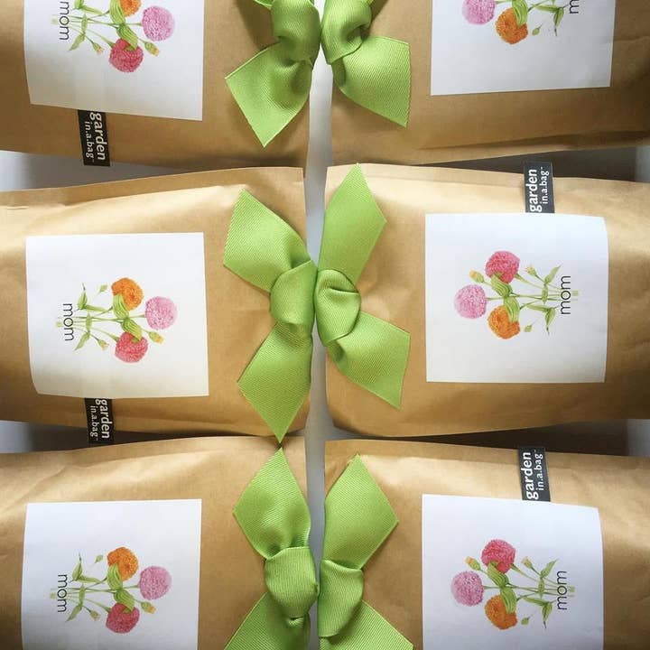 Potting Shed Creations, Ltd. - Wholesale Plant Seeds - Garden in a Bag | Mom | Mother's Day | Best Seller