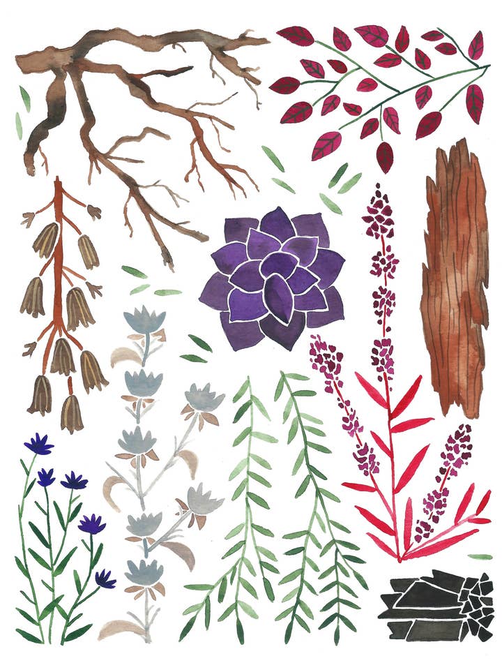 11" x 14" February Nature Art Print Collection for wholesale by Andria Green