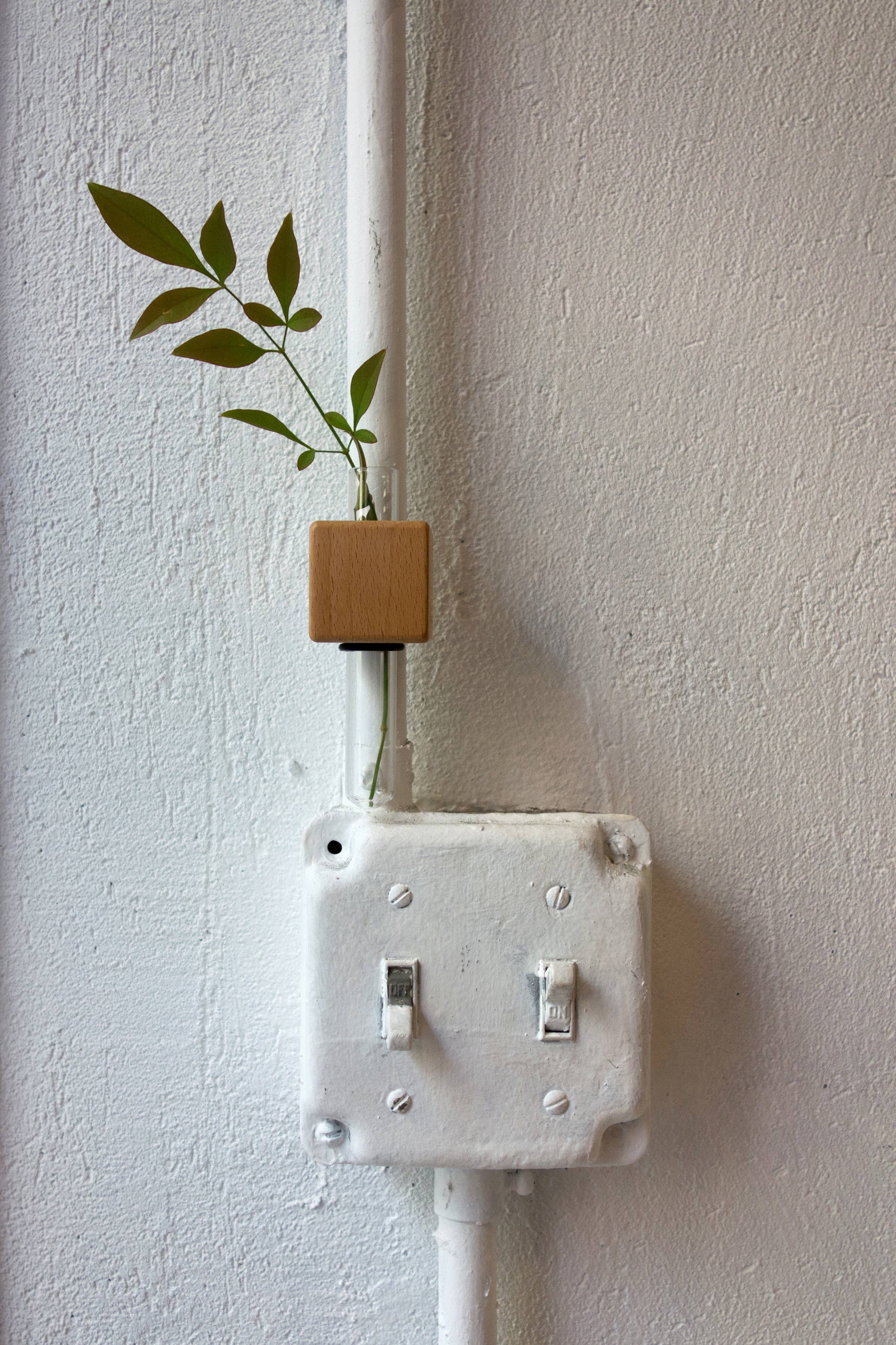 FUNNYFISH - Wholesale Vaas - Smart Magnet Vaas - Kubussen (Gemengd, set van 3)3