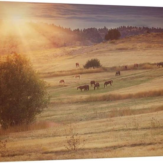 Sunset And Horses Canvas Print for wholesale by Amanda Smith Western Art, LLC
