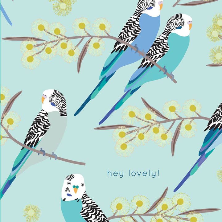Budgie Snugglers Birthday Card and other Purchase Wholesale budgie. Free Returns & Net 60 Terms on Faire trending on Faire.