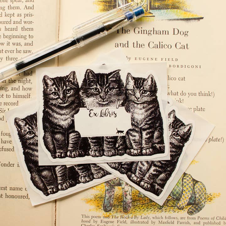 Sunshine and Ravioli - Vente Ex-libris - Autocollants Librairie Chat1