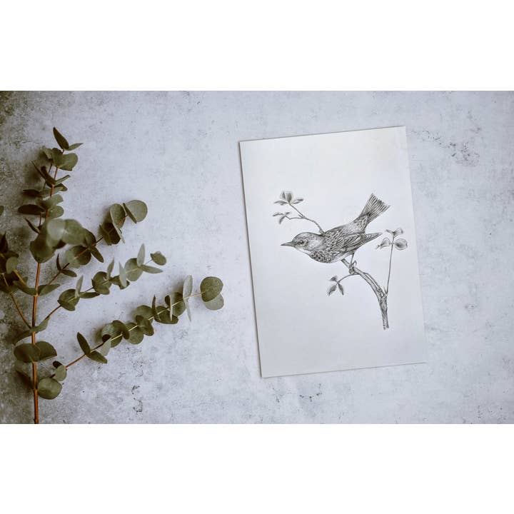 North Roots Collective - Wholesale Art Print - 11 x 14 This Means Warbler Print1