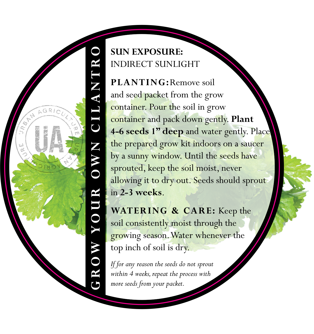 The Urban Agriculture Company - Wholesale Plant Seeds - Cilantro Grow Kit1