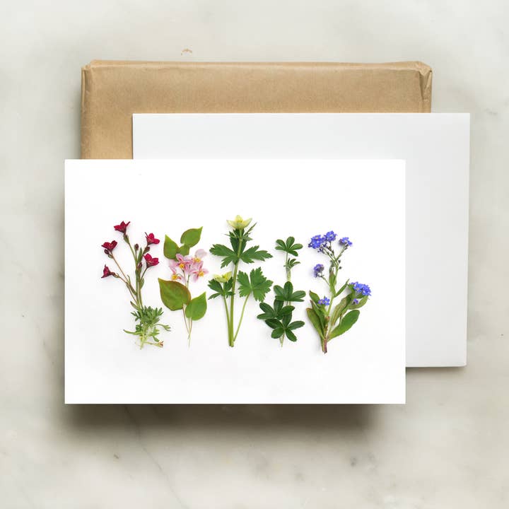 Card - Wildflower Rainbow for wholesale by Bottle Branch