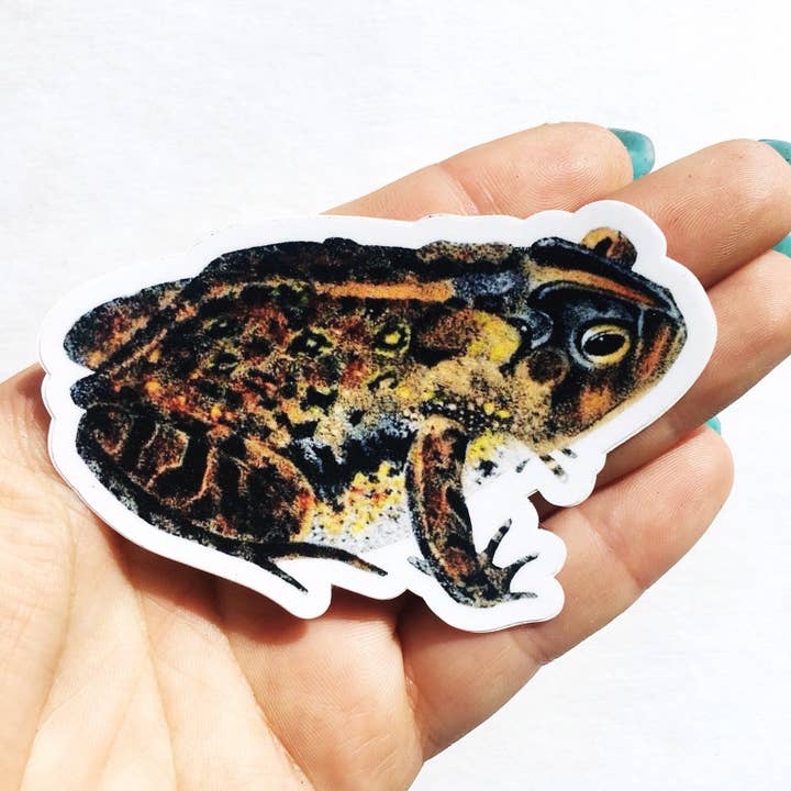 Toad Vinyl Sticker for wholesale by Pergamo Paper Goods