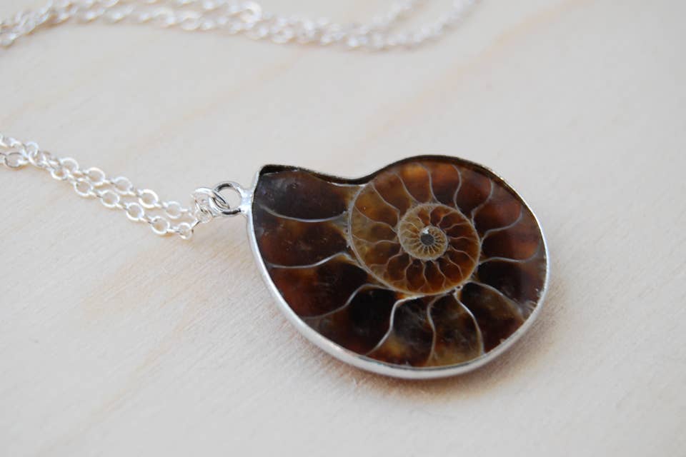 Enchanted Leaves - Wholesale Pendant/Charm Necklace - 18" Ammonite Fossil Shell Necklace3