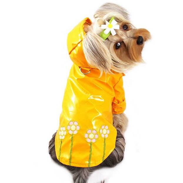 Polka Dots and Daisies Raincoat for wholesale by Klippo Pet