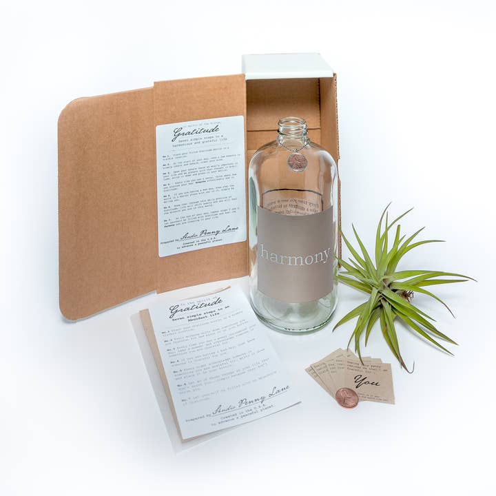 Harmony Apothecary Jar Clear with Silver Block for wholesale by Studio Penny Lane