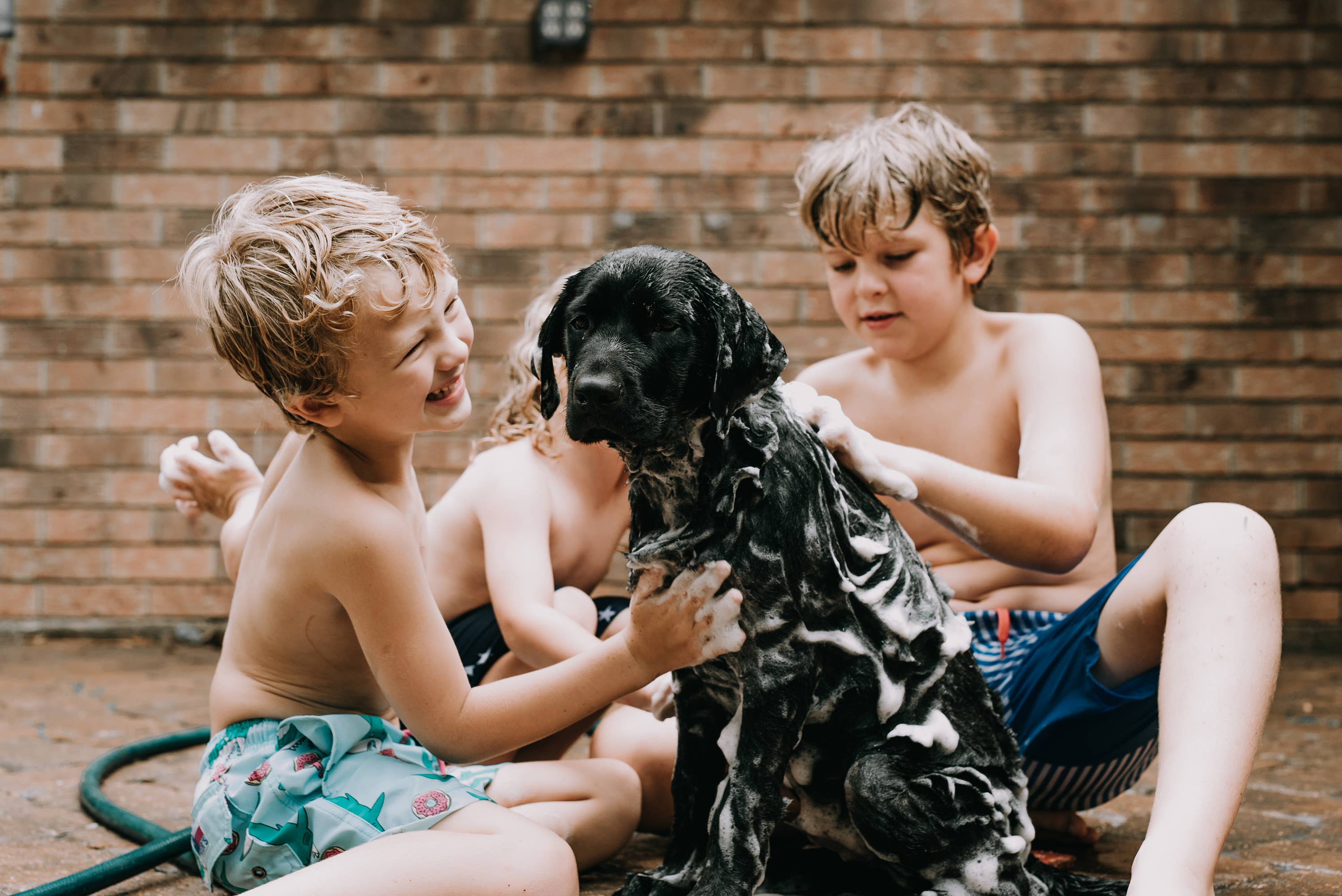 Old Factory Soap + Parousia Perfumes - Wholesale Pet Soap - Dog - Nose & Coat Natural Dog Soap 4oz Bar4