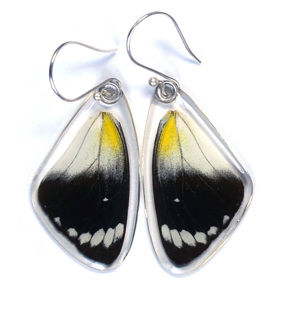 Wingstitution - Wholesale Dangle Earrings - 0375 Butterfly Earrings, Timor Butterfly, Top Wing0