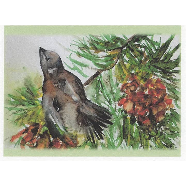 Fine Art For Small Spaces - Wholesale Everyday Greeting Card - Pine Bird Watercolor Nature Art Blank Note Card