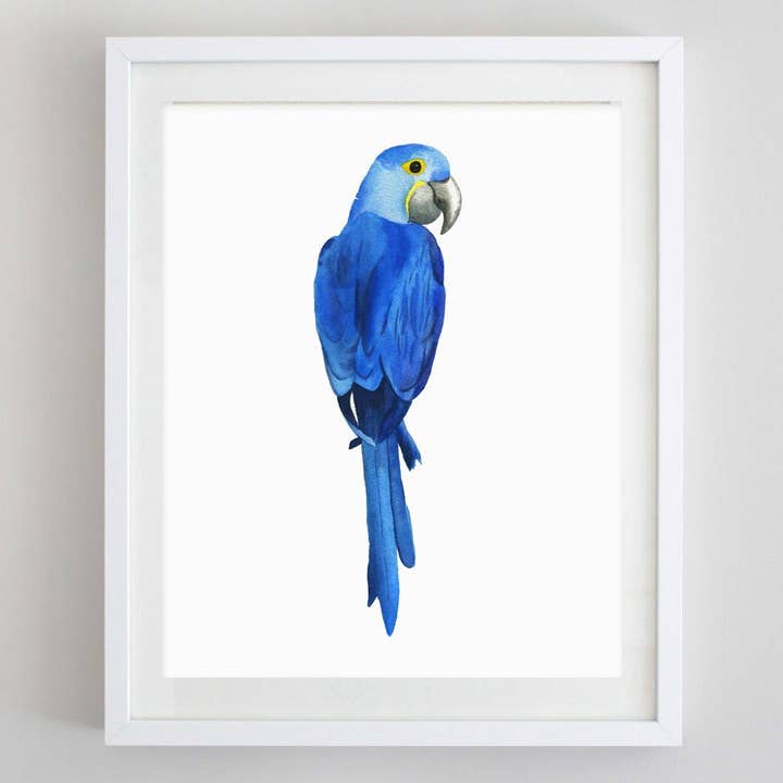 Hyacinth Macaw Watercolor Print for wholesale by Carly Rae Studio