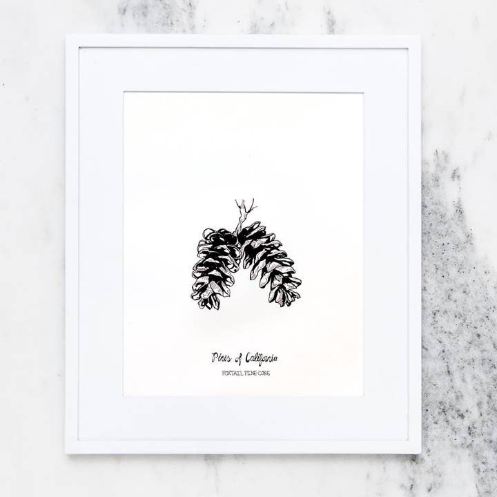 Impression d'art de queue de renard pour la vente par Reyn Paper Co