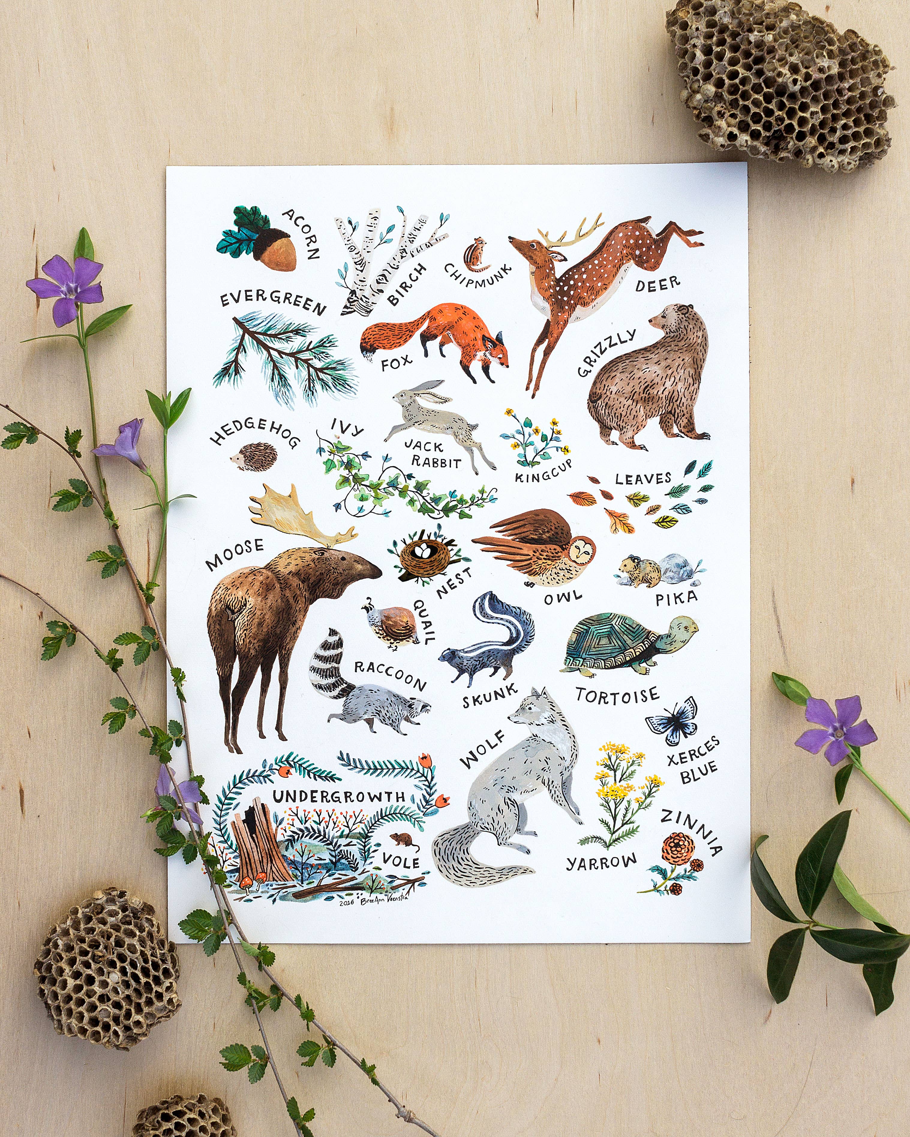 Wildship Studio - Vente Affiche d'art - Impression de l'alphabet des bois1