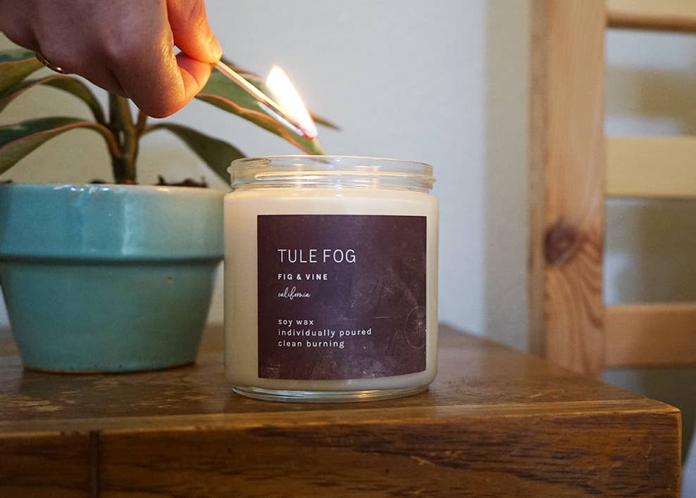 Tule Fog Candles - Wholesale Jar/Filled Candle - Fig + Vine Soy Candle Mini 3.5oz1