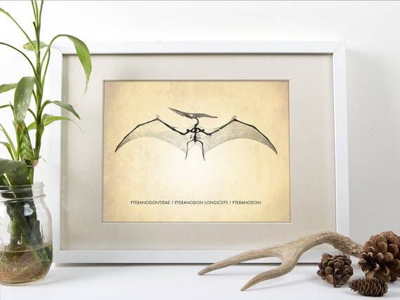 The National Anthem - Wholesale Art Print - 11” x 14” Pteranodon Art Print1