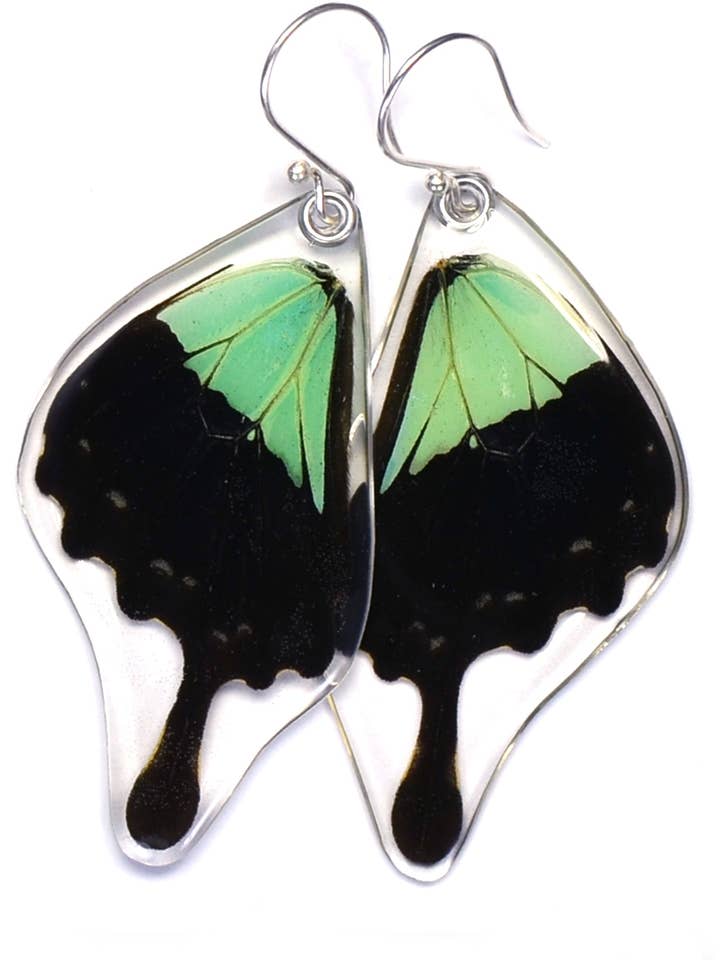 0275 Butterfly Øreringe, Apple Green Swallowtail, bund for engroshandel hos Wingstitution