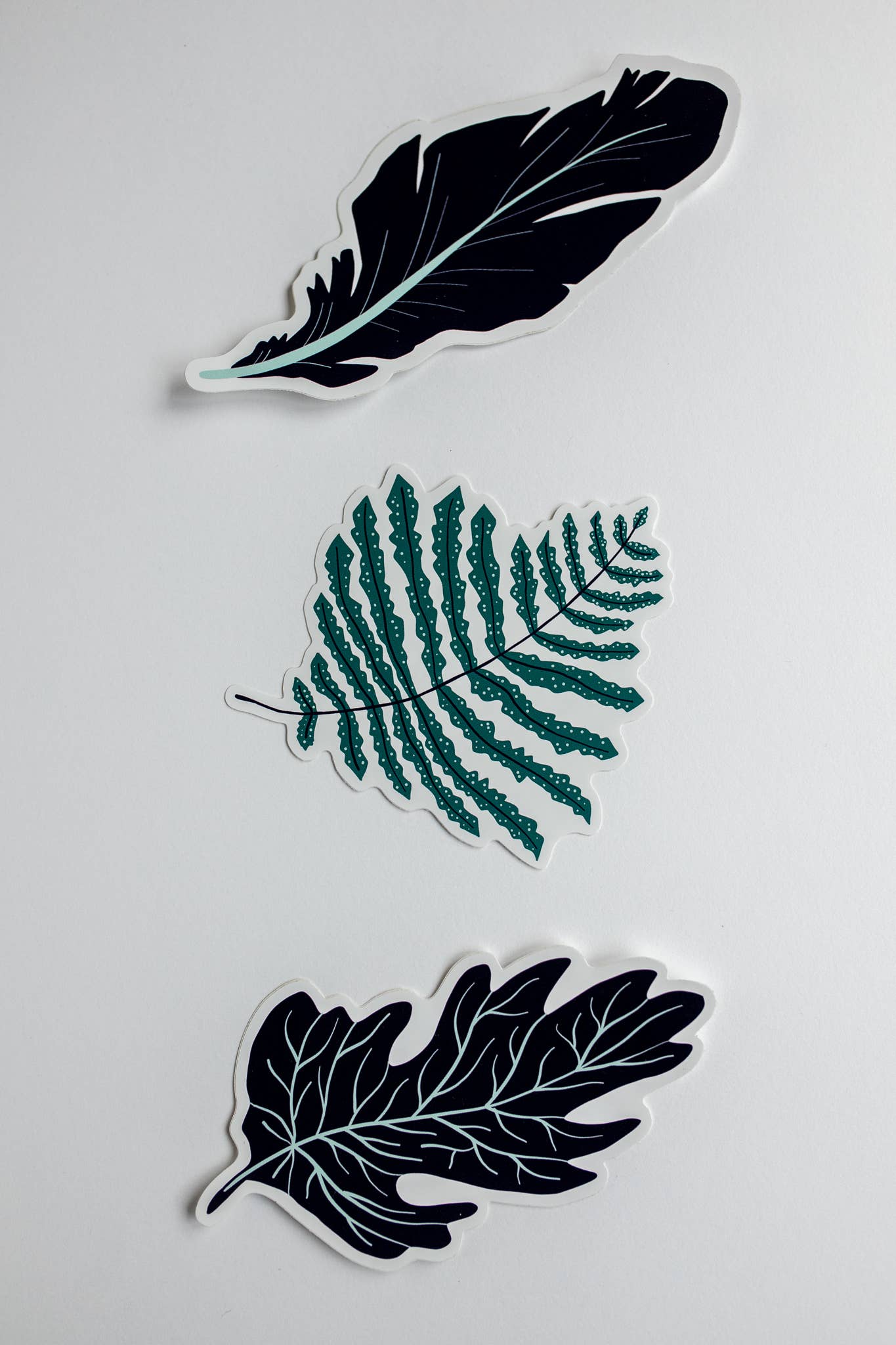 Maija Rebecca Hand Drawn - Wholesale Sticker - Wild Forage Fern Sticker1