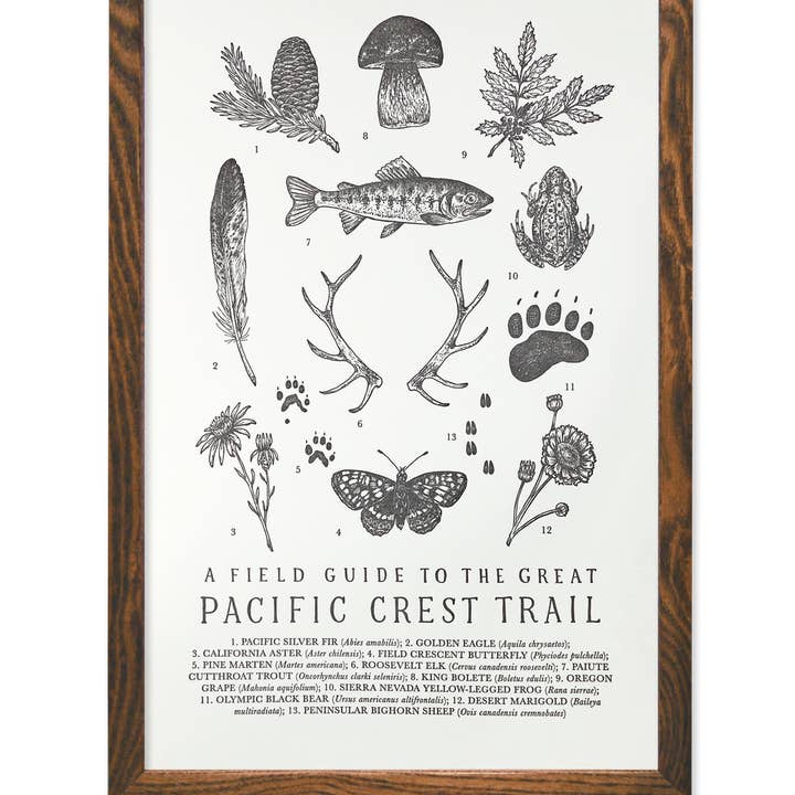 Pacific Crest Trail Guide Art Print for wholesale by The Wild Wander