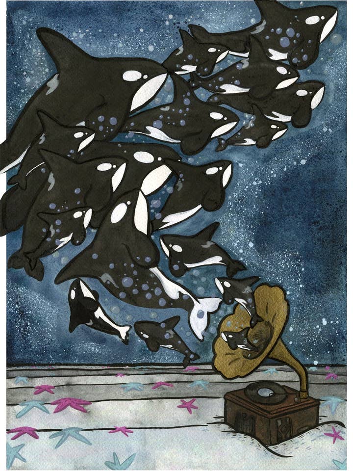 Chanson d'Orca pour la vente par Danielle V Designs