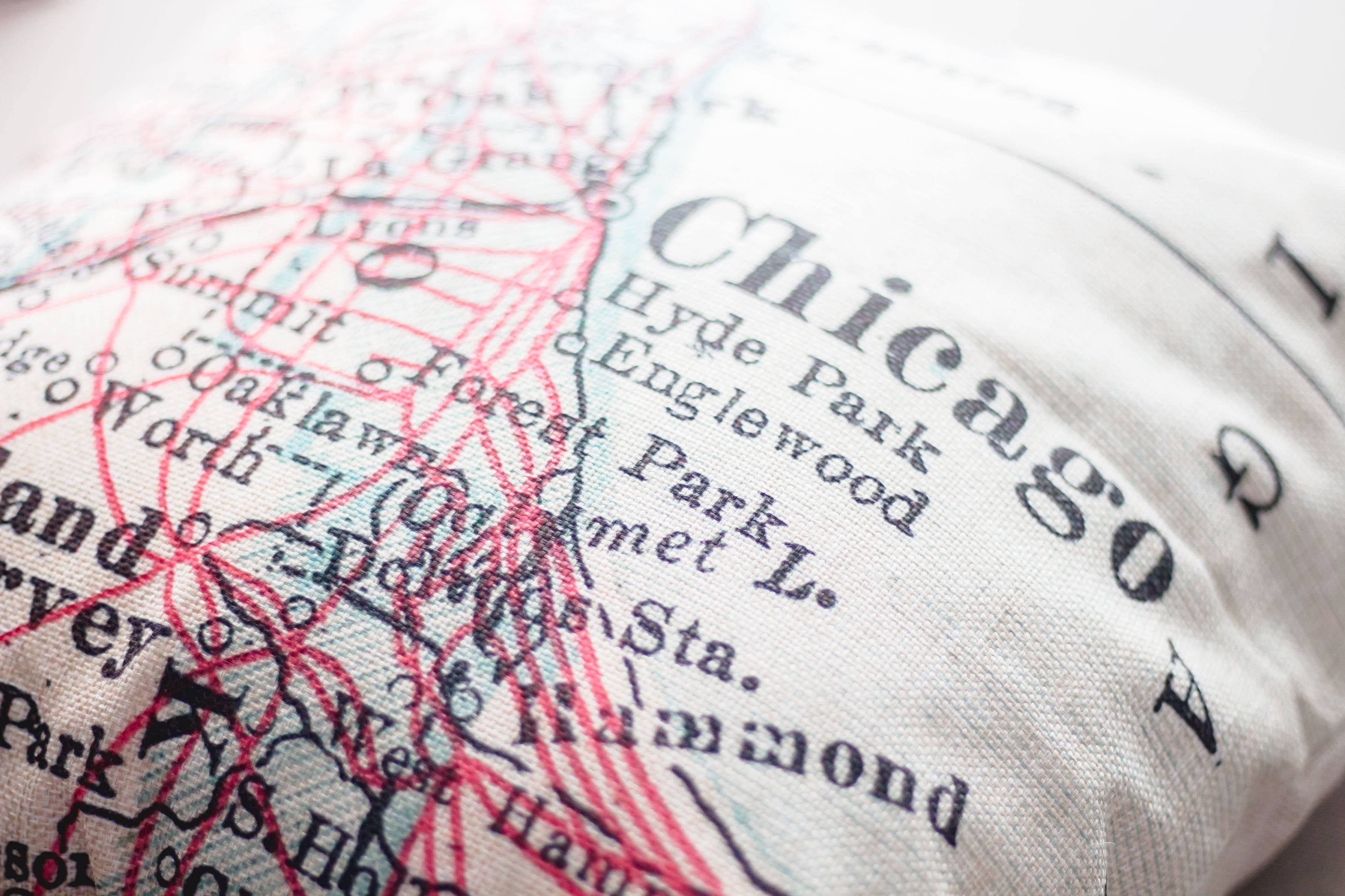 Daisy Mae Designs - Wholesale Throw/Decorative Pillow - Eugene Oregon Map Pillow – 18" Square Throw Pillow1