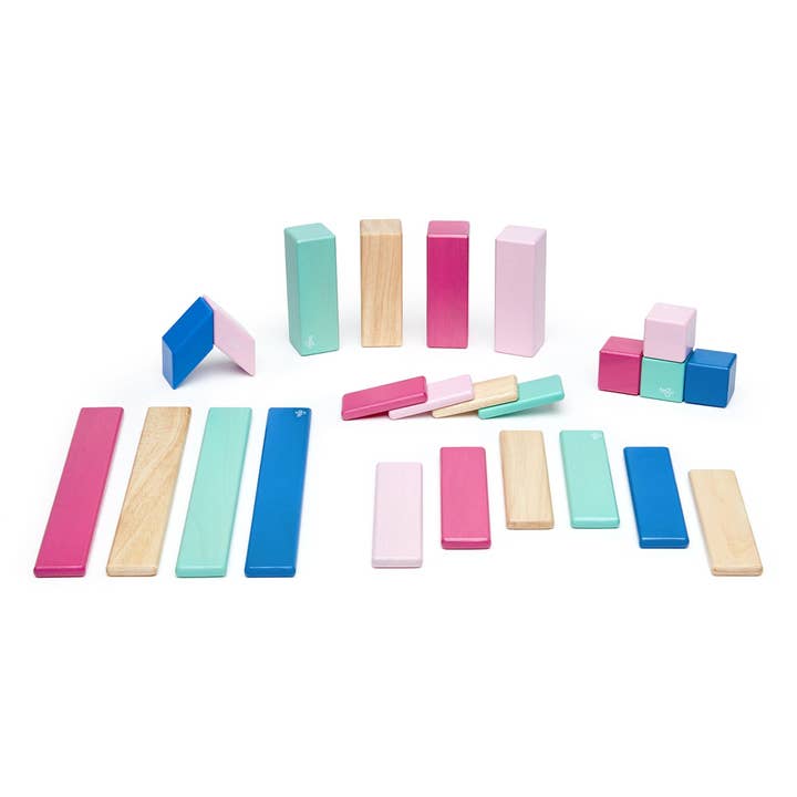 Tegu - Wholesale Building Set - Kids - 24 Piece Magnetic Wooden Block Set16