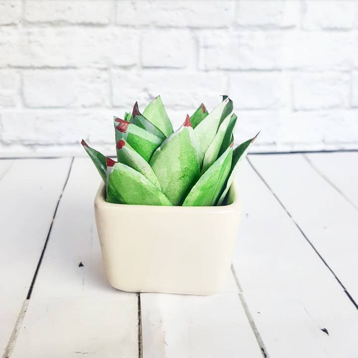 Paper Echeveria Subrigida Succulent set of 10 for wholesale by Beautiful Things By Bec