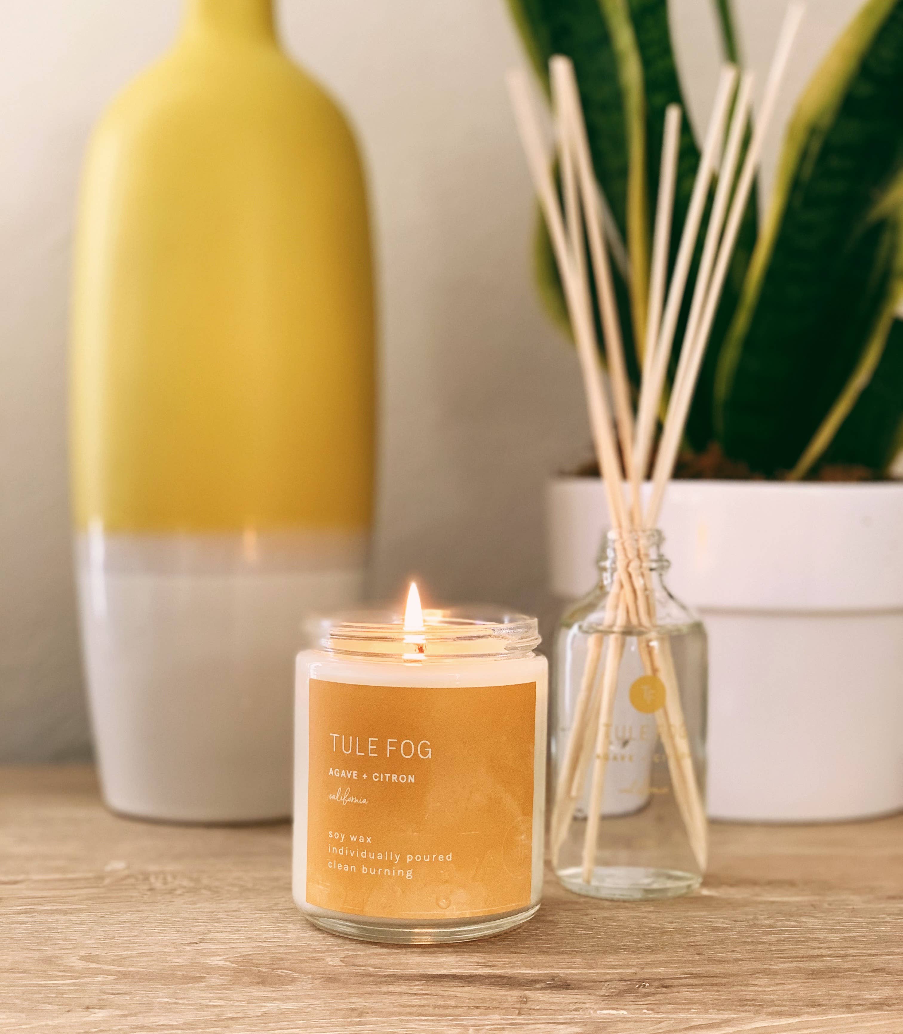 Tule Fog Candles – Großhandel Kerze im Glas / gefüllte Kerze – Agave + Citron Soja-Kerze Mini 3,5 oz3