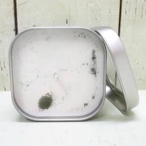 Green Daffodil Bath & Body - Wholesale Travel Candles - Hartwick Pines Hike Soy Candle in Small Tin - Michigan1