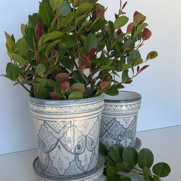 Maceta Safi con platillo grande para venta al por mayor de atelierBOEMIA