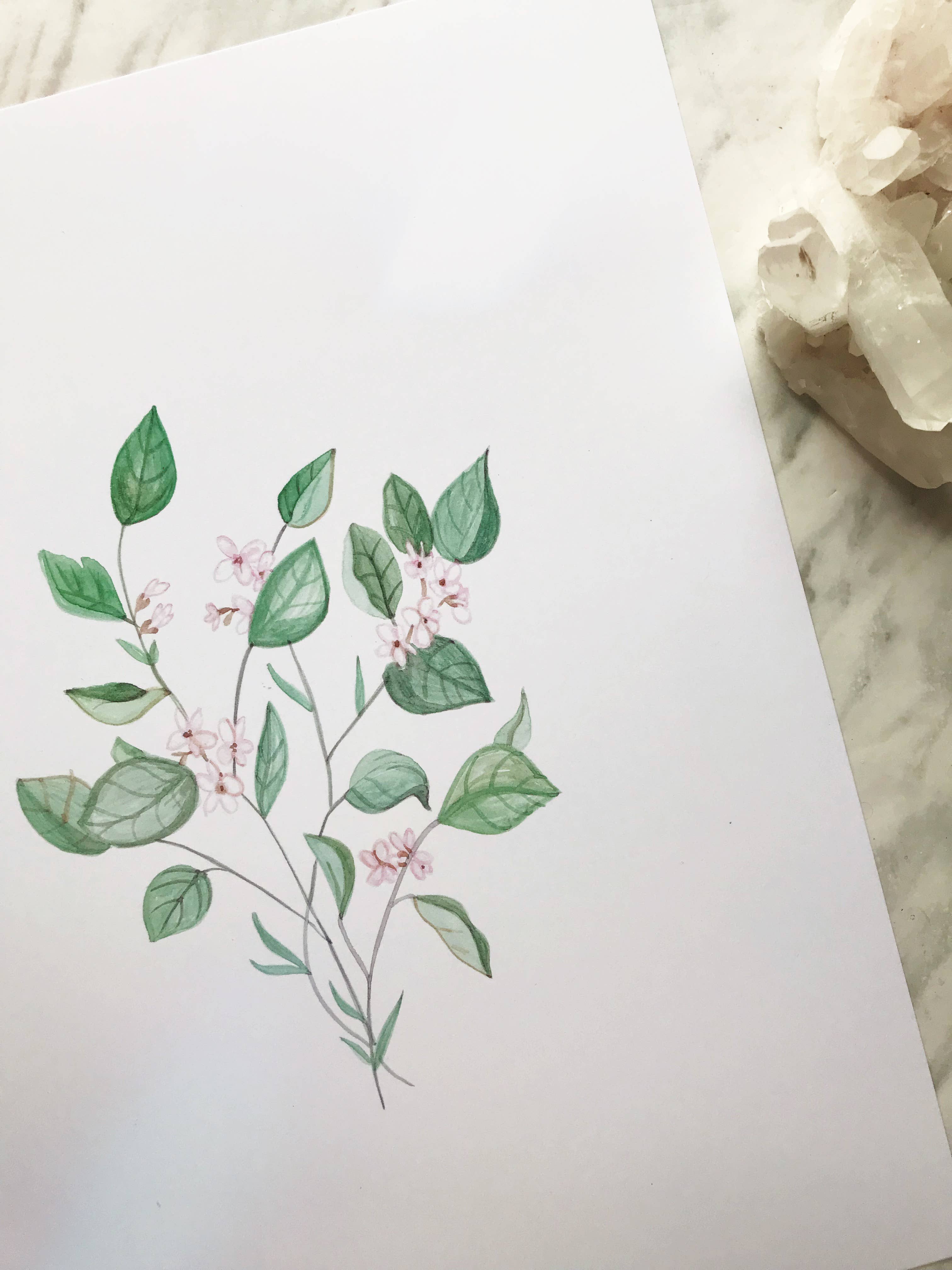 Katelyn Morse Art - Wholesale Art Print - Mayflower Art Print 8x102