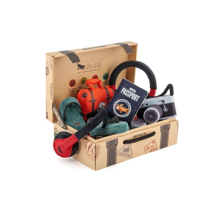 P.L.A.Y. Pet Lifestyle and You - Wholesale Pet Toy Set - Dog - Globetrotter Toy Set (15 pc with Display Box)4