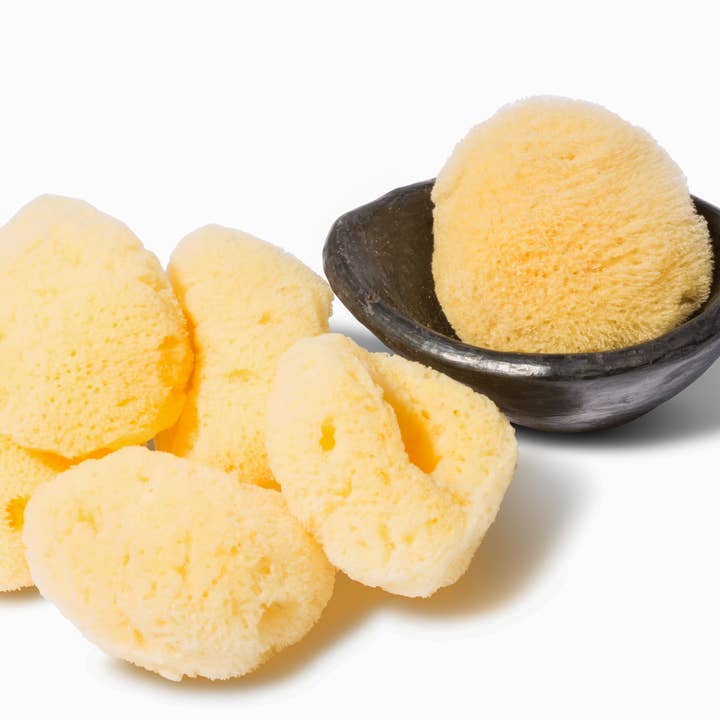 Katari Beauty - Wholesale Bath Pouf/Sponge - Cleansing & Exfoliating Sponge | Silky Soft Sea Sponge 2-3"3