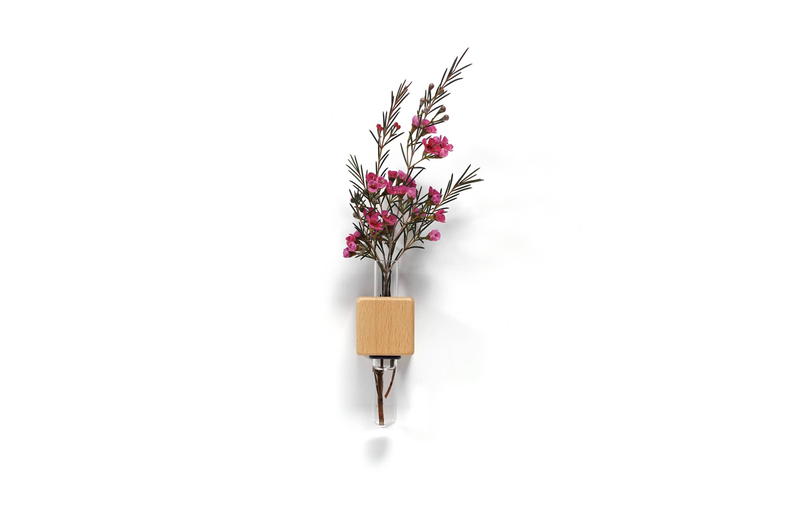 FUNNYFISH - Vente Vases - Vase cube magnétique intelligent - Clair (unité unique)1