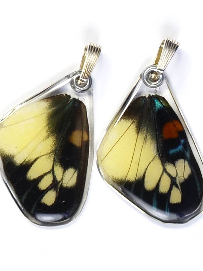 0460 Butterfly Pendant Only, Day Flying Moth, Bottom Wing for wholesale by Wingstitution
