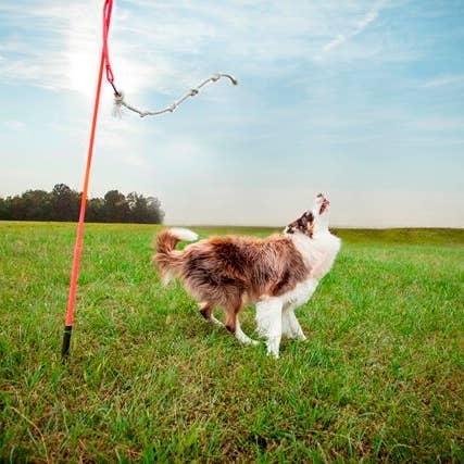 Tether Tug - Wholesale Pet Rope Toy - Dog - Big Outdoor Tether Tug