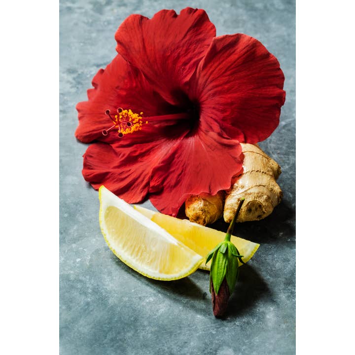 ImmuneSchein Ginger Elixirs - Wholesale Elixir - 2 fl. oz. Hibiscus Ginger Elixir4