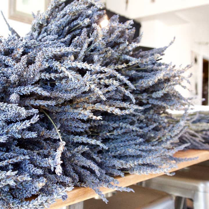 Seattle Seed Co. - Wholesale Dried/Pressed Flowers - Fragrant Dried Grosso French Lavender Flowers Home Decor