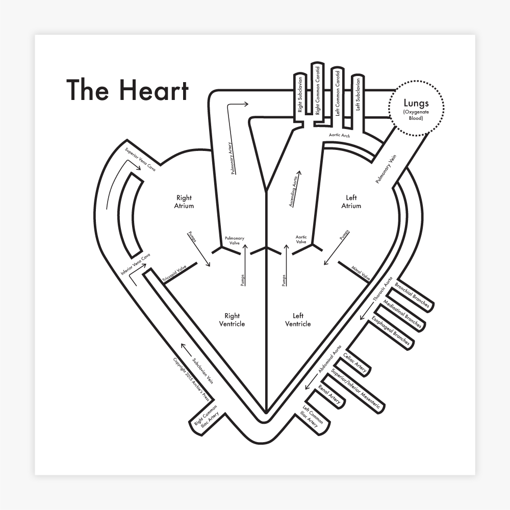 Archie's Press - Wholesale Art Print - The Heart Print3