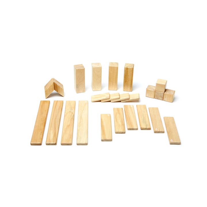 Tegu - Wholesale Building Set - Kids - 24 Piece Magnetic Wooden Block Set2
