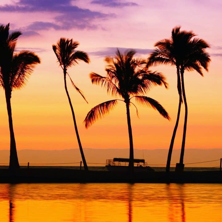 76"x24" Beach Sunset on Canvas for wholesale by HolyCowCanvas