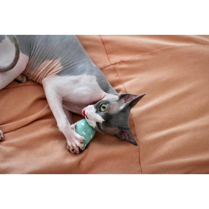 Playful Fox & Co. - Vendita all'ingrosso Giocattolo - Gatti - Geo Toys