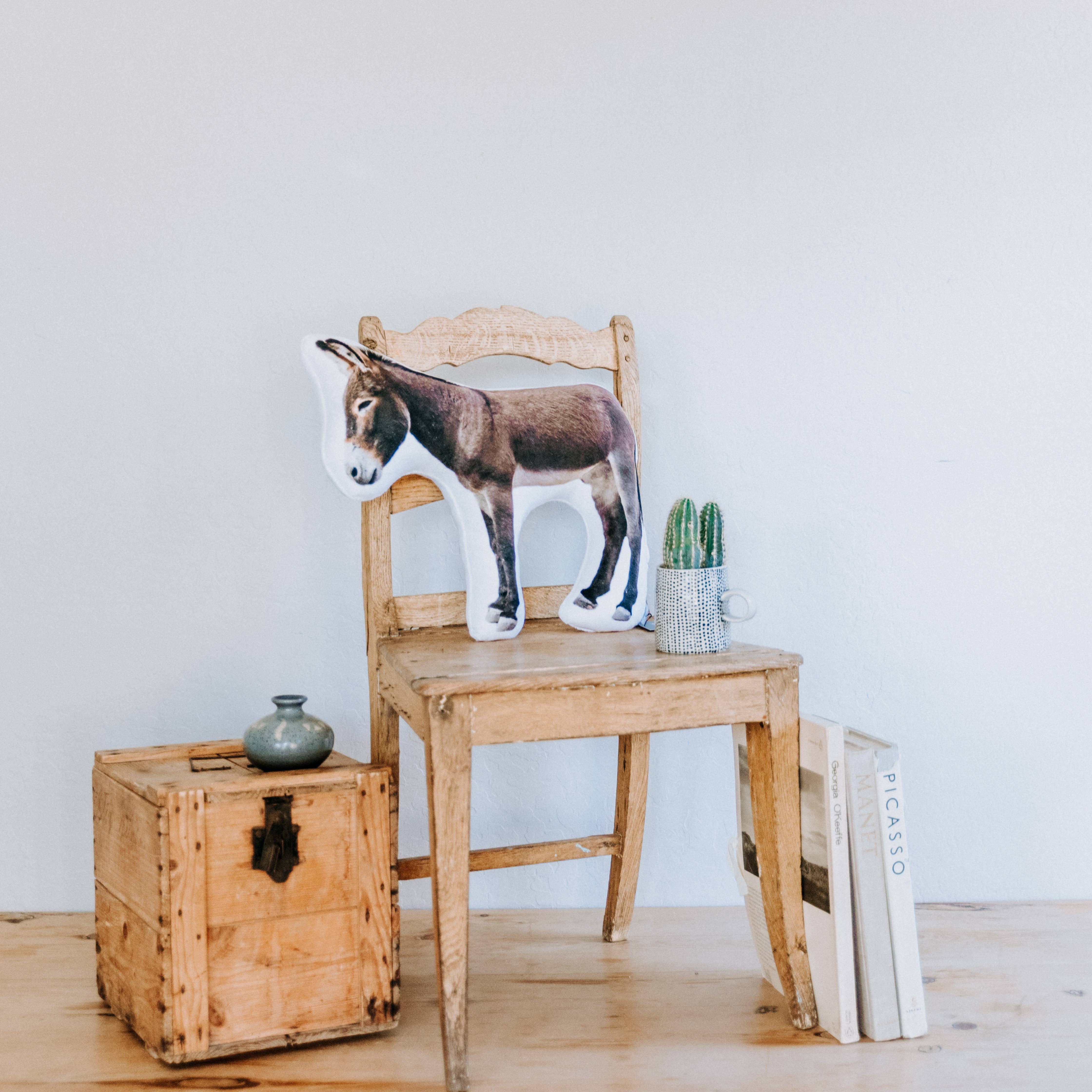 AURE - Vendita all'ingrosso Cuscini decorativi - Cuscino Arizona Wild Burro Minky, regalo di Natale