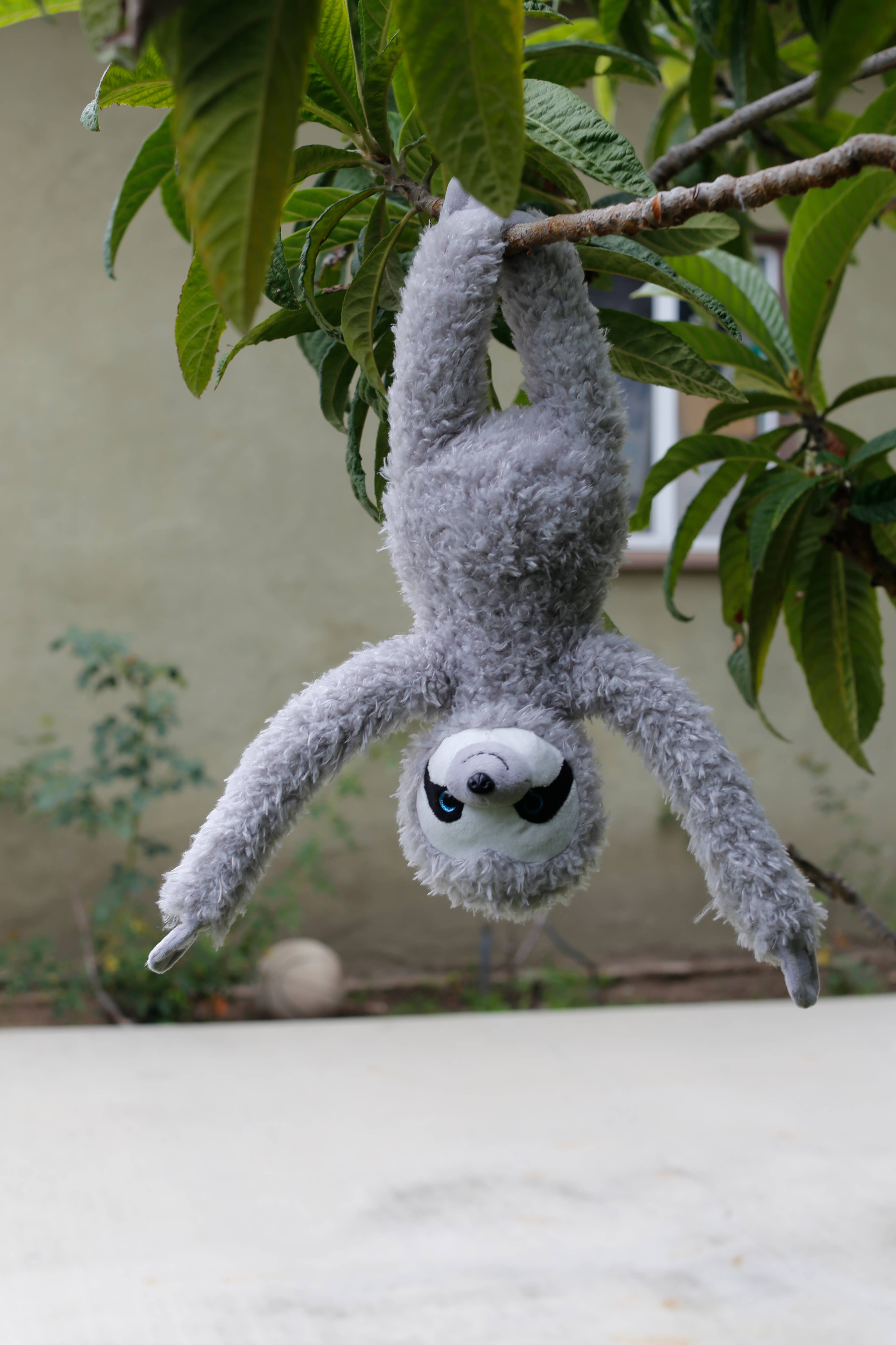 Plushland - Vendita all'ingrosso Peluche - Bambini e neonati - Slowla il bradipo degli alberi3