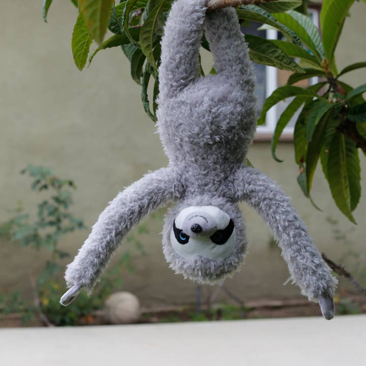 Plushland - Wholesale Stuffed/Plush Toy - Kids & Baby - Slowla the Tree Sloth3