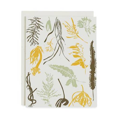 Pacific Seaweeds Card for wholesale by June & December