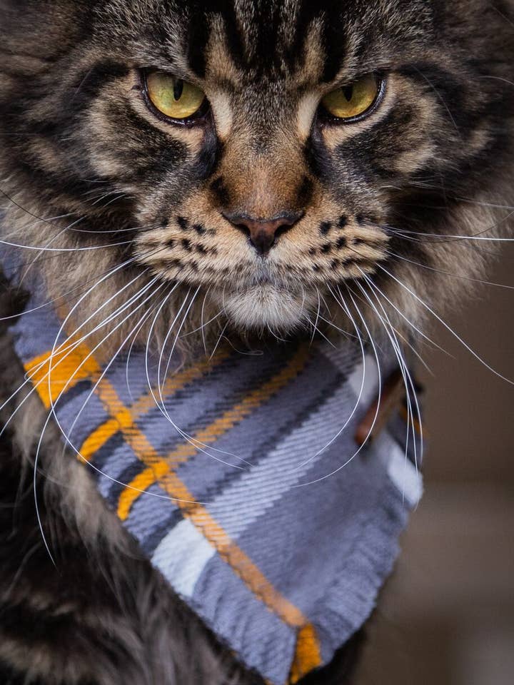 Small Tie - on Flannel Bandanas for wholesale by Playful Fox & Co.