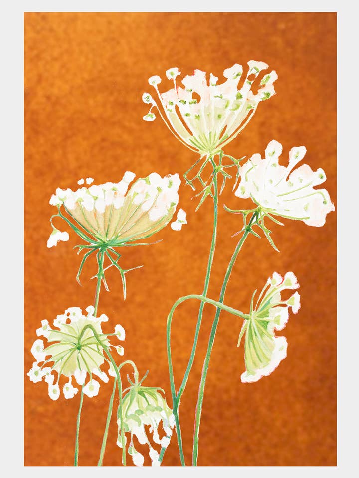 11” x 16” Queen Anne’s Lace on Rusty Orange Art Print for wholesale by India & Purry by Jessica Hollander