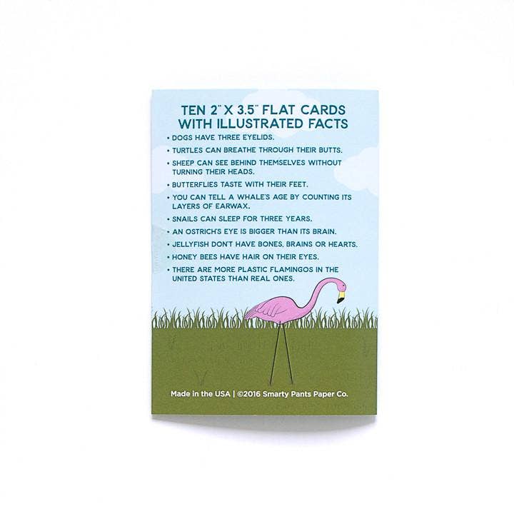 Smarty Pants Paper - Wholesale Stationery/Notecard Set - Wild Card Lunch Notes3